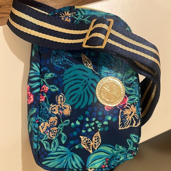 Crossbody, hip, fanny pack/bag blue green and golden buckle and zip. New. - Picture 4 of 4